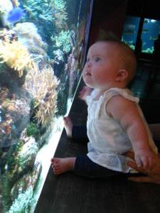 1378170_10202049724787831_30593045_n