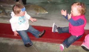 548457_10202049724827832_150485015_n